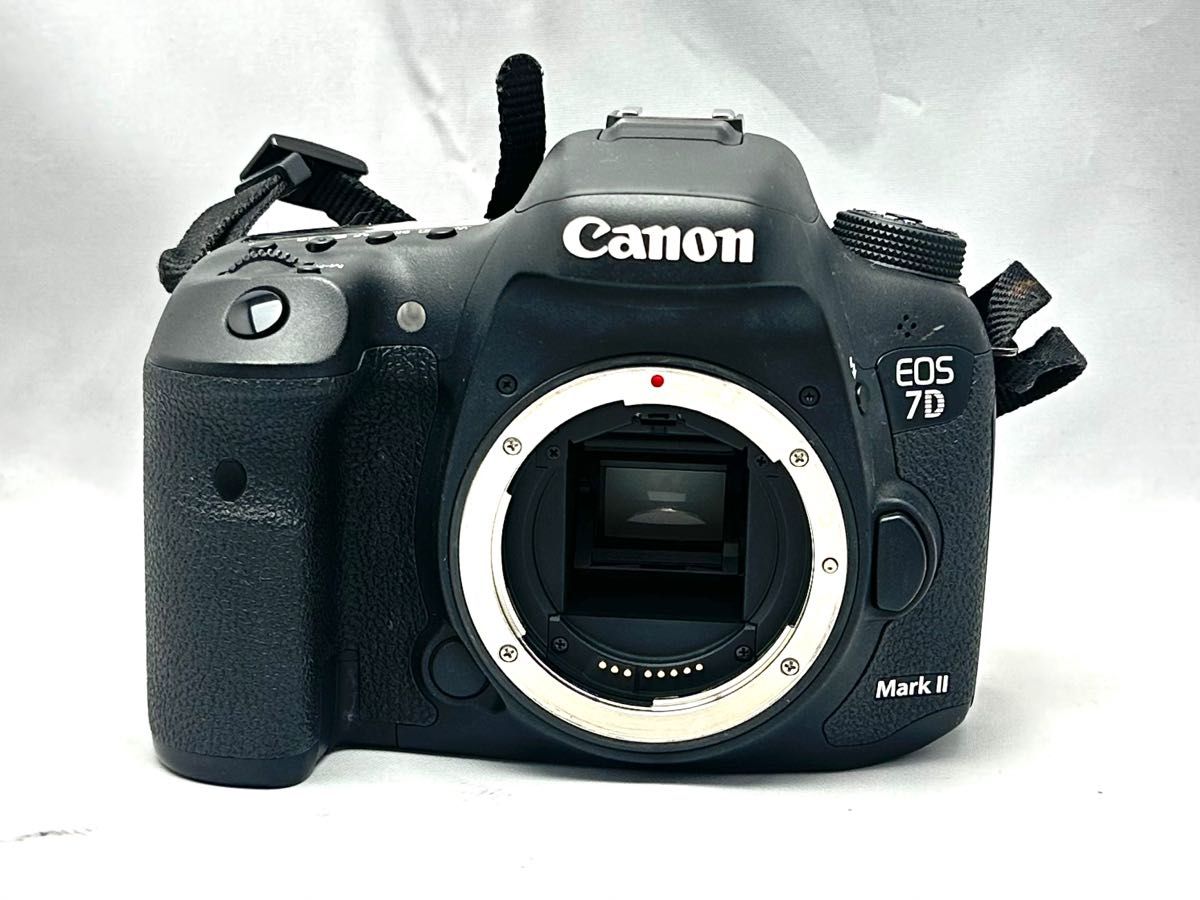 Canon EOS 7D mark2 + 18-135mm STMレンズキット♪CFカードセット