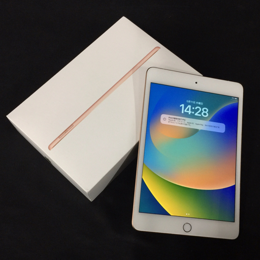 1円SIMフリーApple iPad mini 第5世代MUXE2J/A Wi-Fi+Cellular 256GB