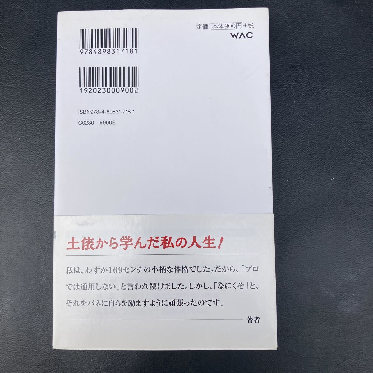 なぜ、日本人は横綱になれないのか　舞の海秀平_画像2