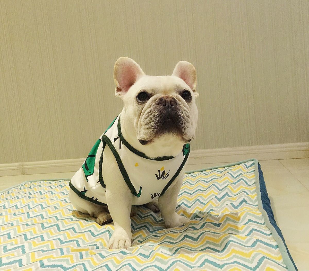 犬服 タンクトップ フレンチブルドッグ パグ トイプードル チワワ