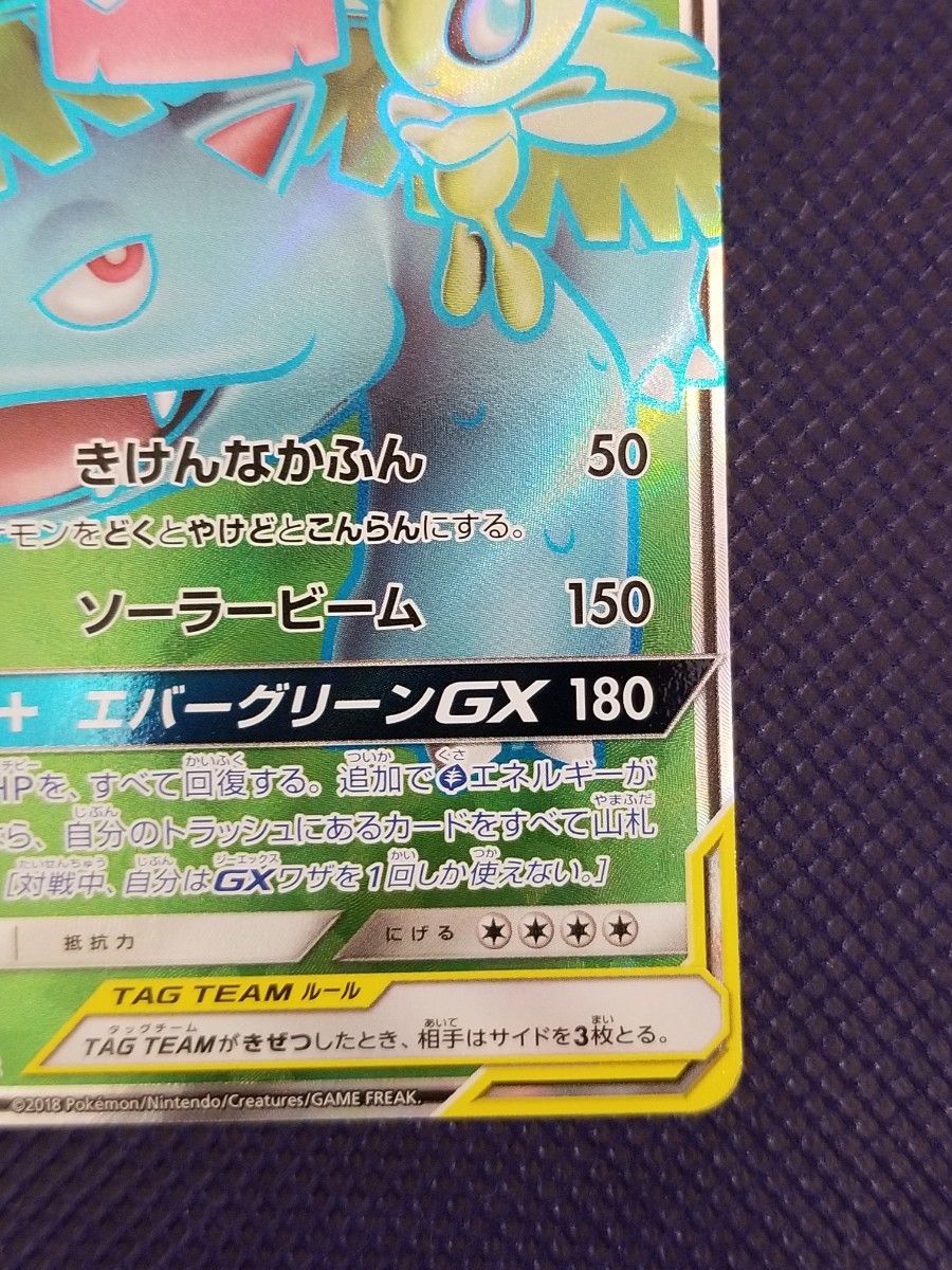 セレビィ&フシギバナGX 096/095 SR タッグチーム TAG TEAM セレビィ&フシギバナGX 096/095 SR タッグチーム TAG TEAM