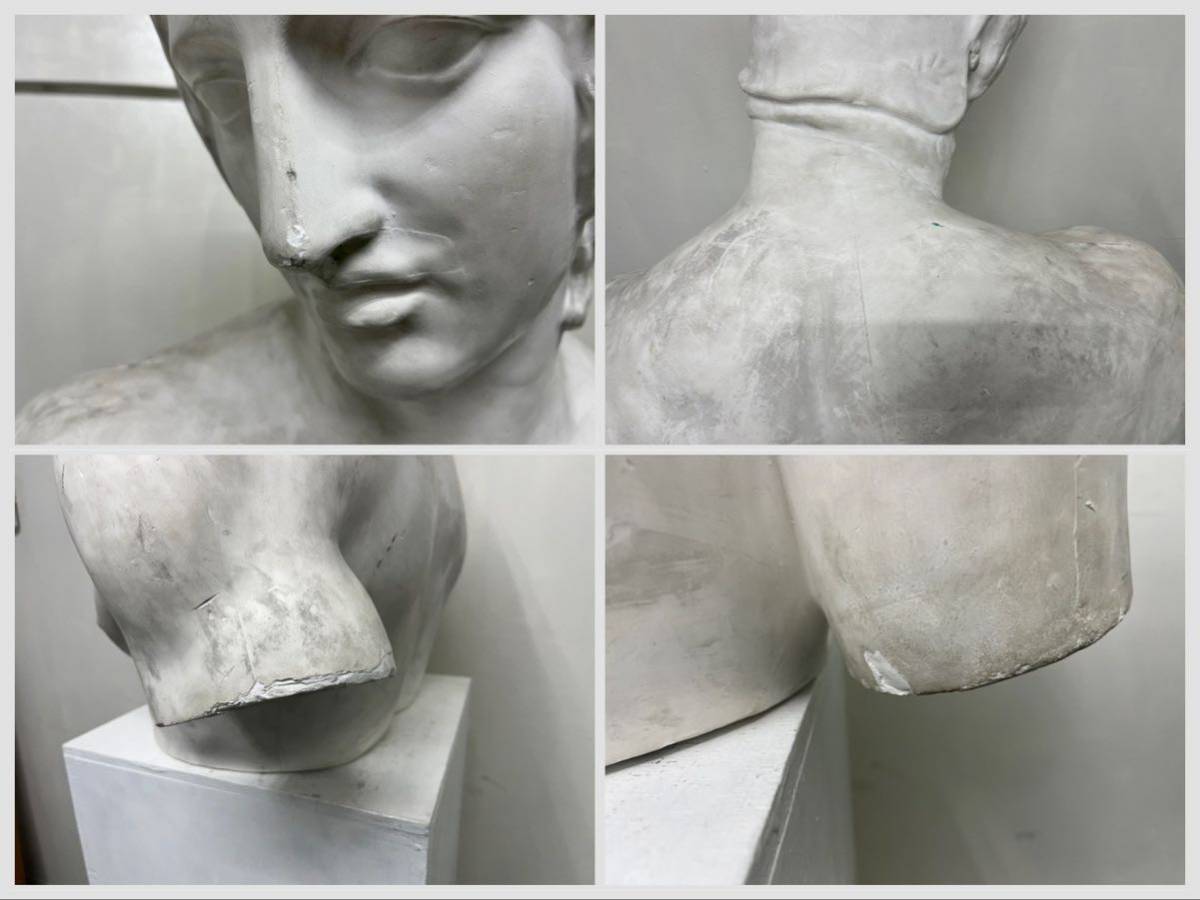 石膏像 / ボルゲーゼのマルス胸像 / デッサン / 装飾 / オブジェ