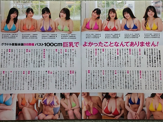 バスト100cmグラドルB8　ちとせよしの 叶夢 雛田真依羽 桜井木穂 海野まりあ 柳瀬さき 藤乃あおい 未梨一花　切り抜き　8ページ◇A18889_画像4