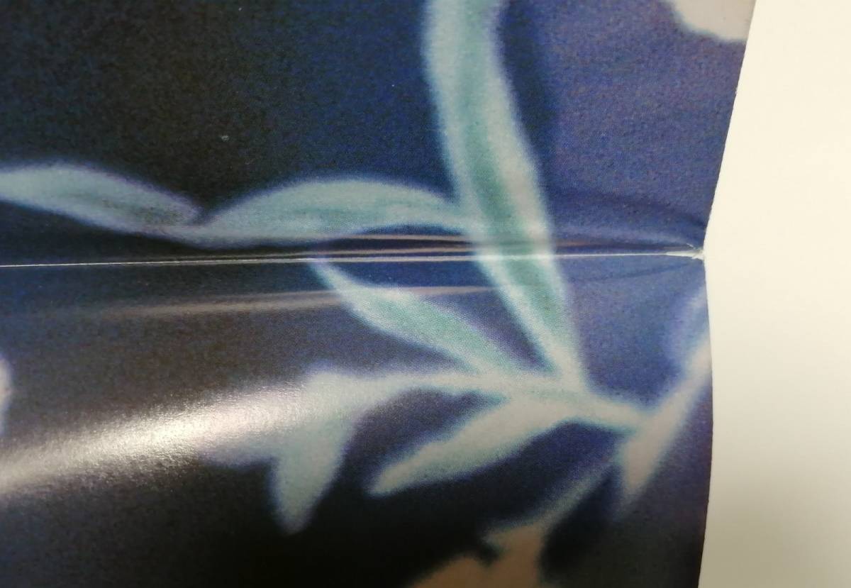 (n)「機動戦艦ナデシコ」「本格的宮村」ミスマル・ユリカ、宮村優子 ポスター (月刊ニュータイプ1997年6月号付録)(Newtype)_シワが目立ちます。