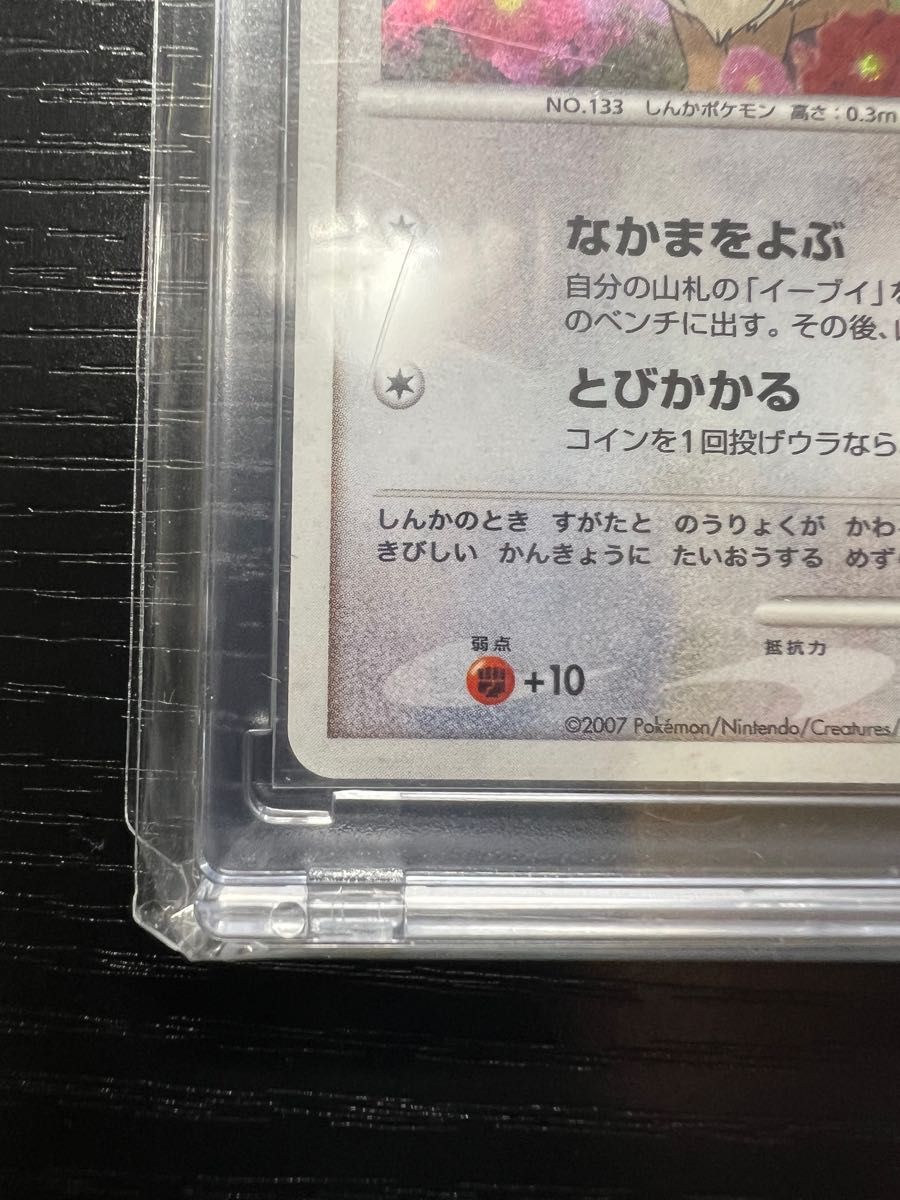 ポケモンカードゲーム イーブイLv14 プロモーションカード ポケモンカードゲーム イーブイLv14 プロモーションカード