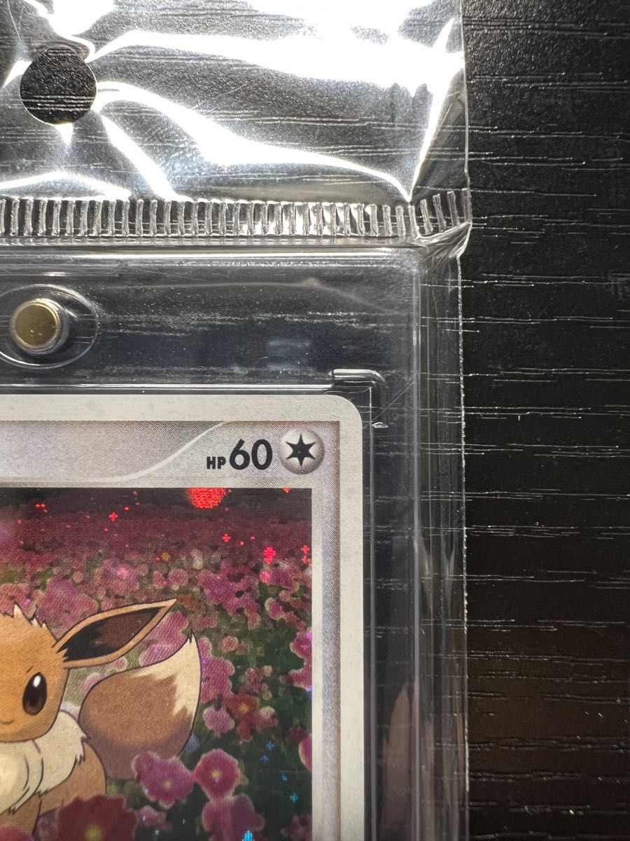 ポケモンカードゲーム イーブイLv14 プロモーションカード ポケモンカードゲーム イーブイLv14 プロモーションカード