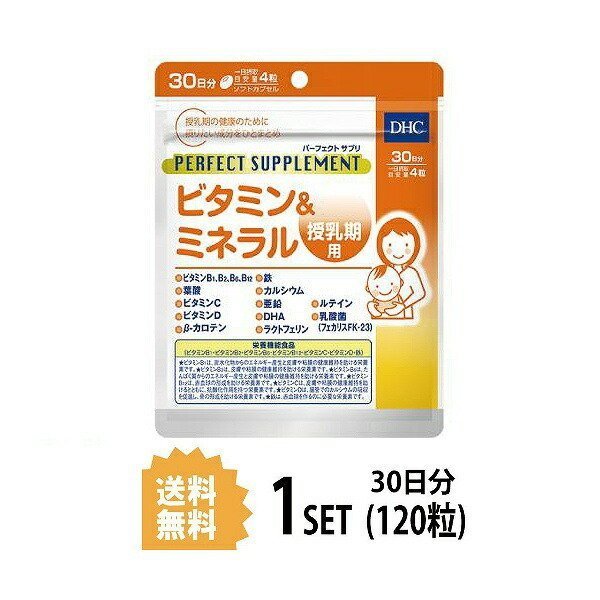 DHC Perfect supplement vitamin & mineral nursing period for 30 day minute (120 bead )ti- H si- nutrition function food 