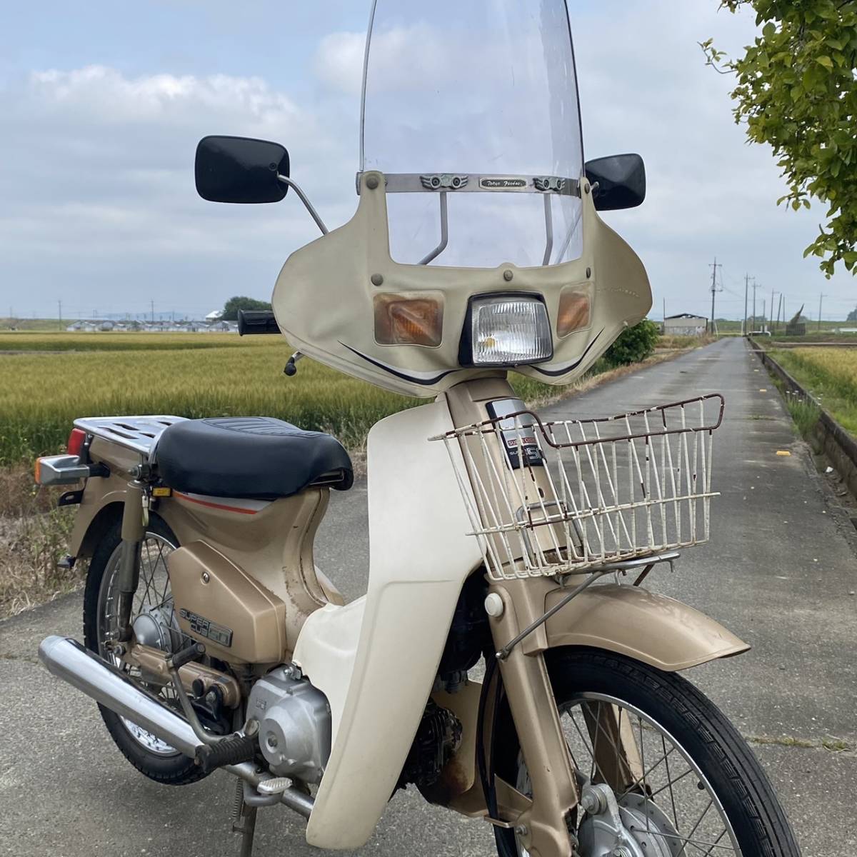 ホンダ スーパーカブ50 C50カスタム セル付 始動 書類付(検 鉄カブC50