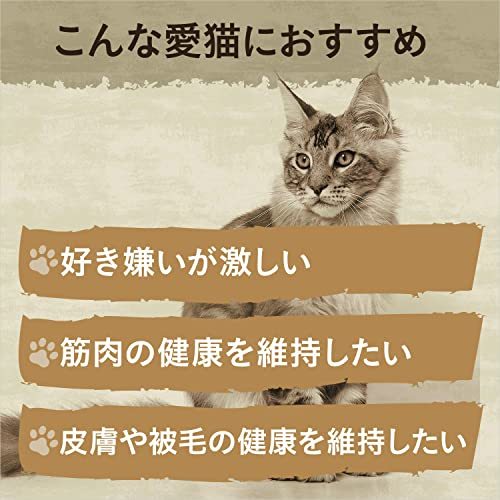 ニュートロ キャット ワイルド レシピ キトン チキン 子猫用 2kg キャットフード グレインフリー_画像5