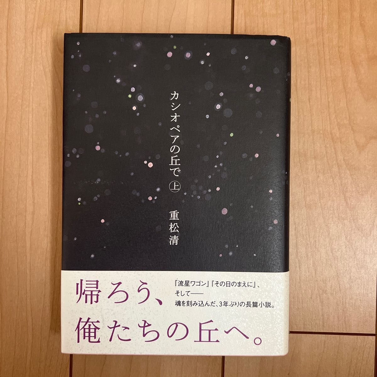 カシオペアの丘で　上 重松清／著