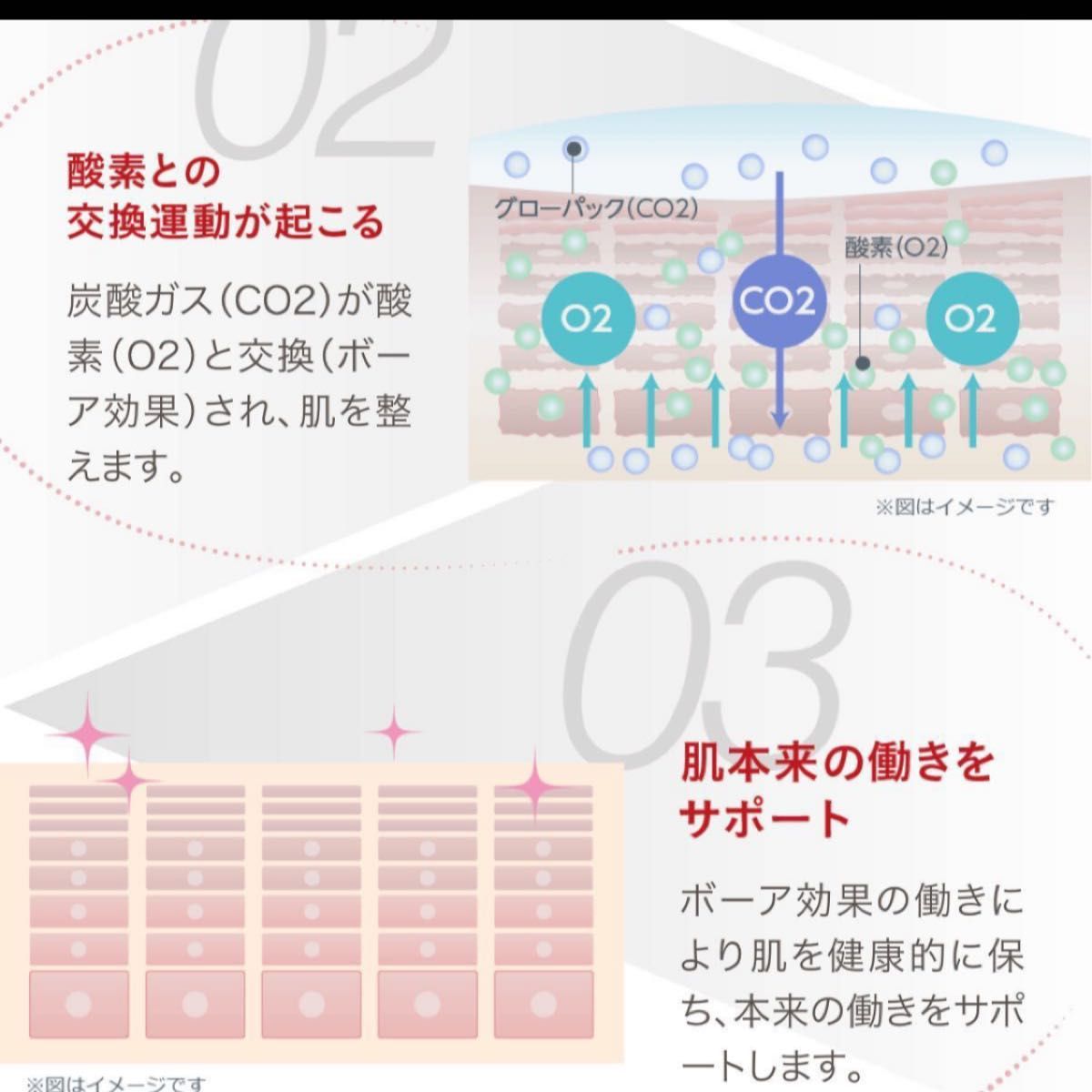 エニシー グローパック 30回分 - 通販 - hanackenovinky.cz