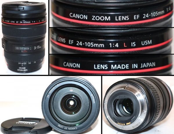 [No.05-19] camera Canon . summarize exhibition [Canon EOS 6D]