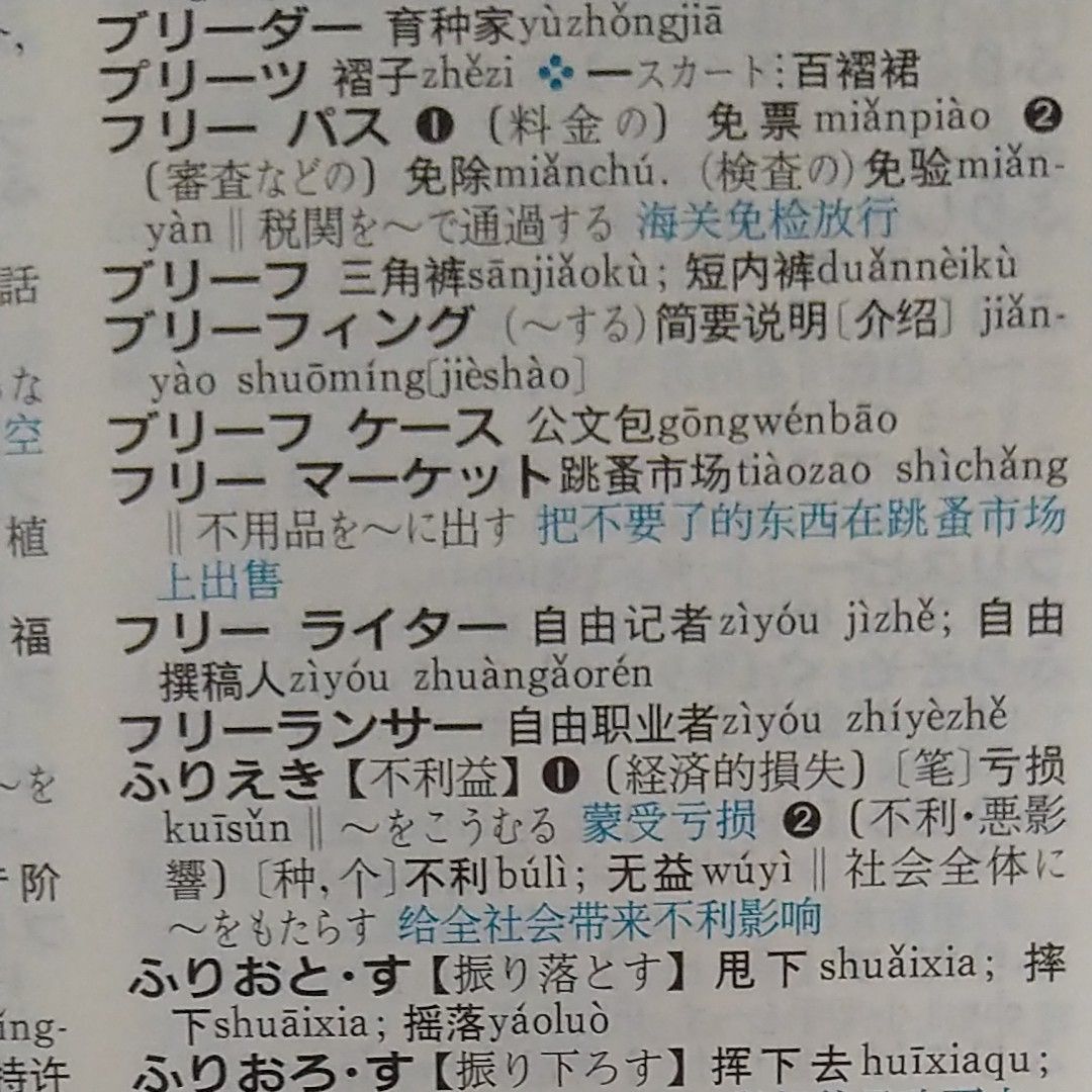 講談社　中日・日中辞典