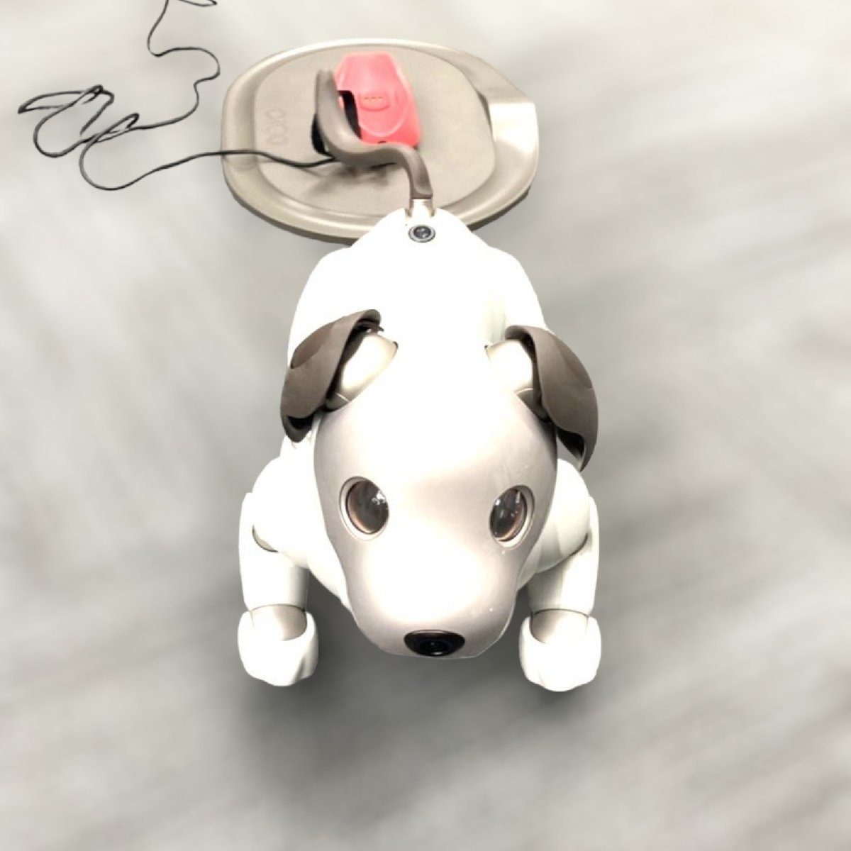 ◇◇◇ SONY (ソニー) aibo アイボ ERS-1000 エンタテイメントロボット