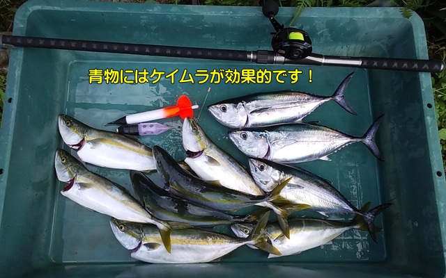 自作コマセカゴ2型ケイムラ8号・紫外線発光で魚の視覚にアピール！昼間の釣りに・・・特に青物に効果アリ！の画像3