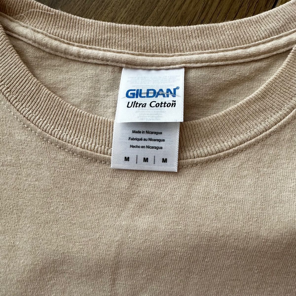 40周年 店舗限定 GREGORY グレゴリー Tシャツ | noonanwaste.com