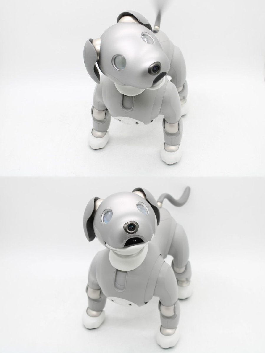 SONY アイボ Aibo 犬 バーチャル ペットロボット ERS-1000 チョコ