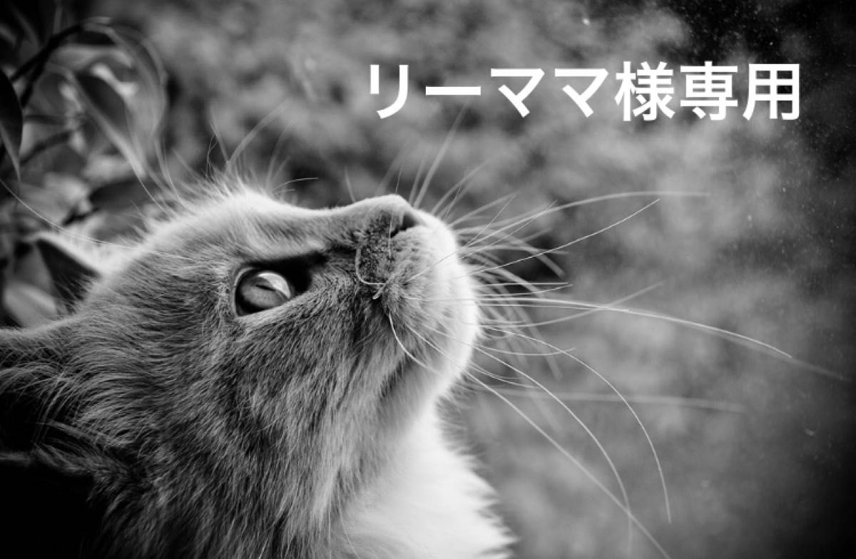 リーママ様専用】ご確認ページ|Yahoo!フリマ(旧PayPayフリマ)