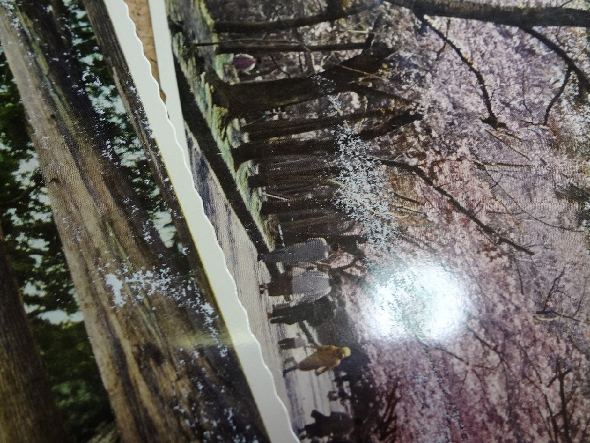 b△　弥彦神社　古い絵葉書　4種 28枚セット　新潟県　/c6_画像6