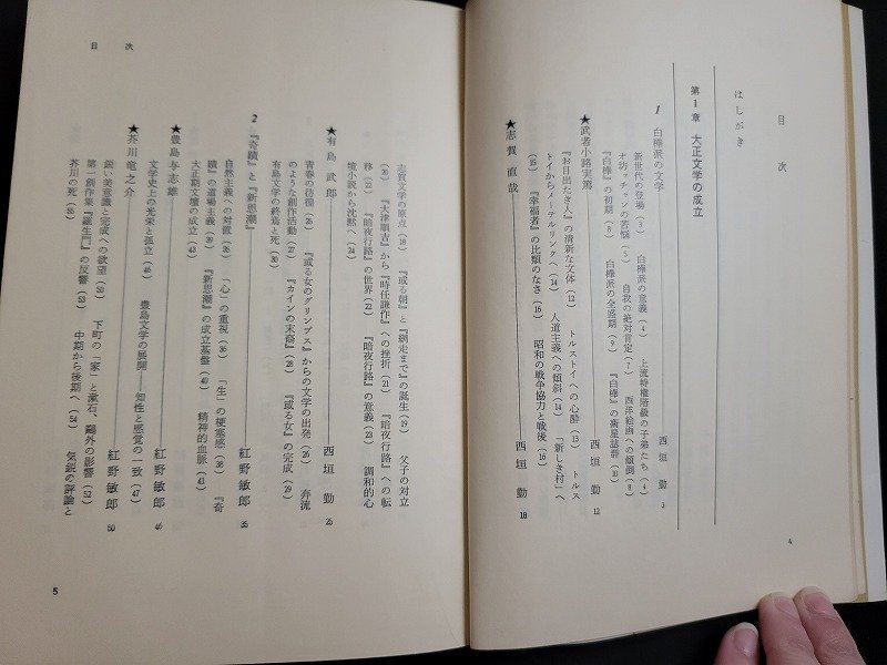 n△　大正の文学　近代文学史2　昭和47年初版第1刷発行　有斐閣　/B07_画像2