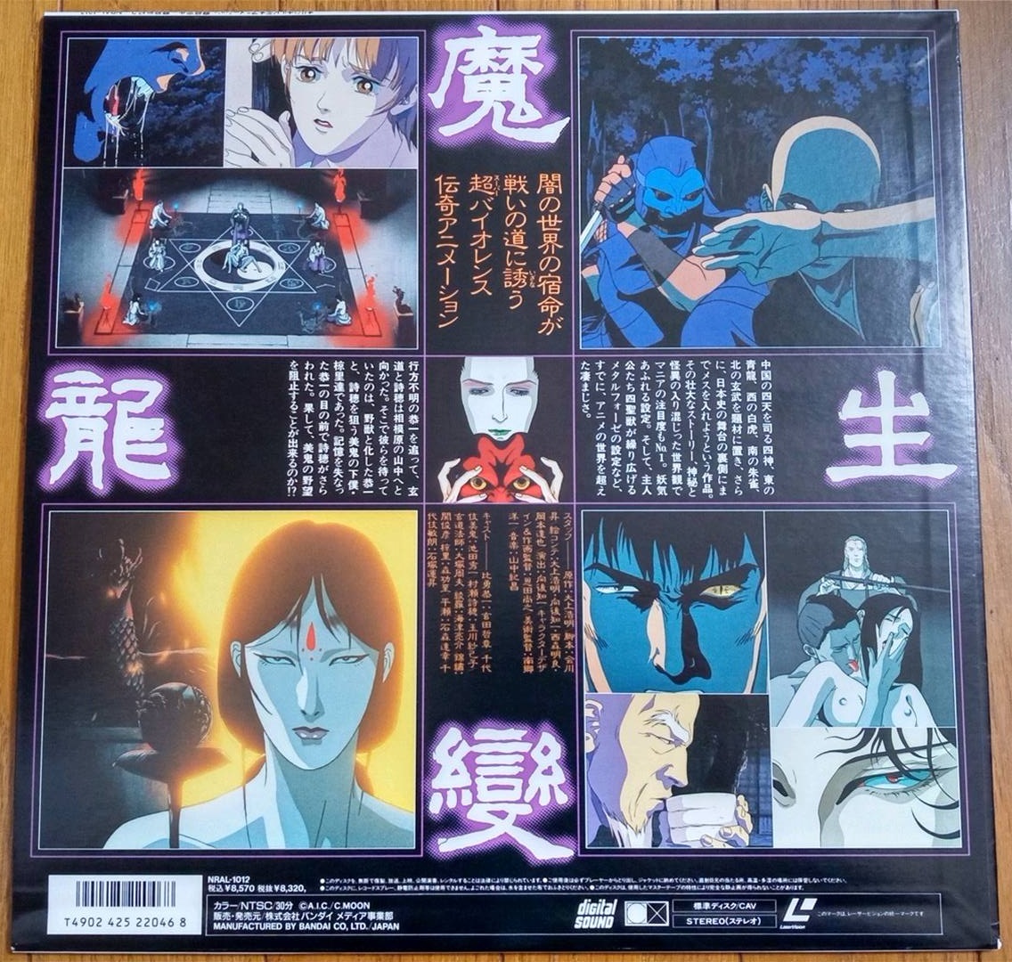 魔龍戦紀 2枚セット レーザーディスク LD 再生確認済み-