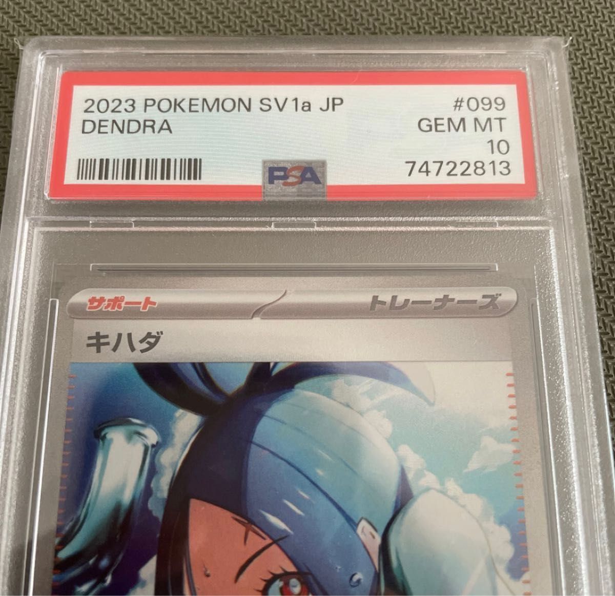 キハダ SAR PSA10 | noonanwaste.com