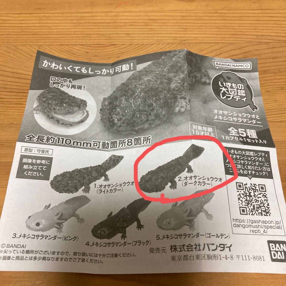今年の新作から定番まで! いきもの大図鑑レプティ オオサンショウウオ
