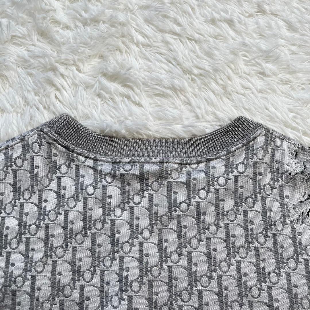 DIOR DANIEL ARSHAM オブリーク Tシャツ ジャカード Size:M ダニエル