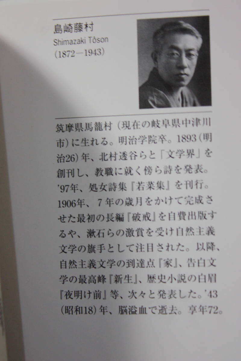 桜の実の熟する時/島崎 藤村/明治20年代高輪台の学舎に学んでいた主人公の年上の女性との恋。醒めゆく少年時代の微熱。自伝的青春小説_画像2