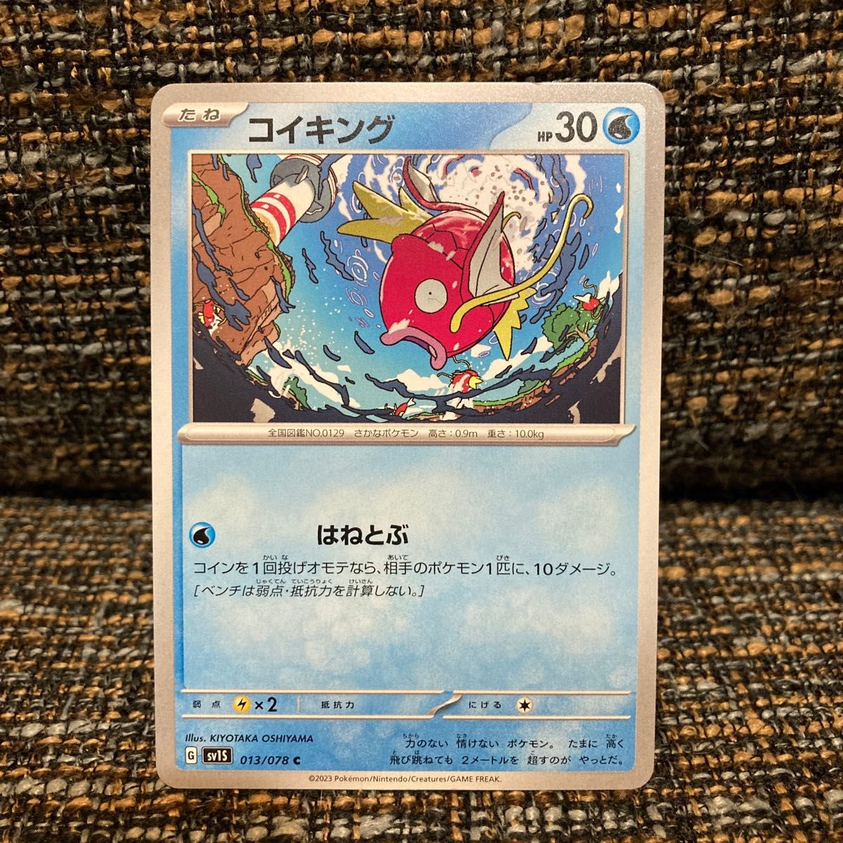 コイキング HP30 はねとぶ 水ポケモン さかなポケモン ポケモン コイキング HP30 はねとぶ 水ポケモン さかなポケモン ポケモン