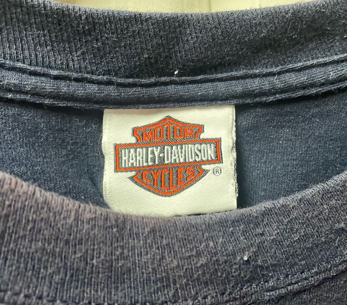 HARLEY DAVIDSONのロングTシャツ