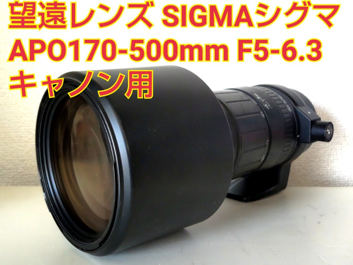 望遠レンズ SIGMAシグマ APO170-500mm F5-6.3 キャノン用