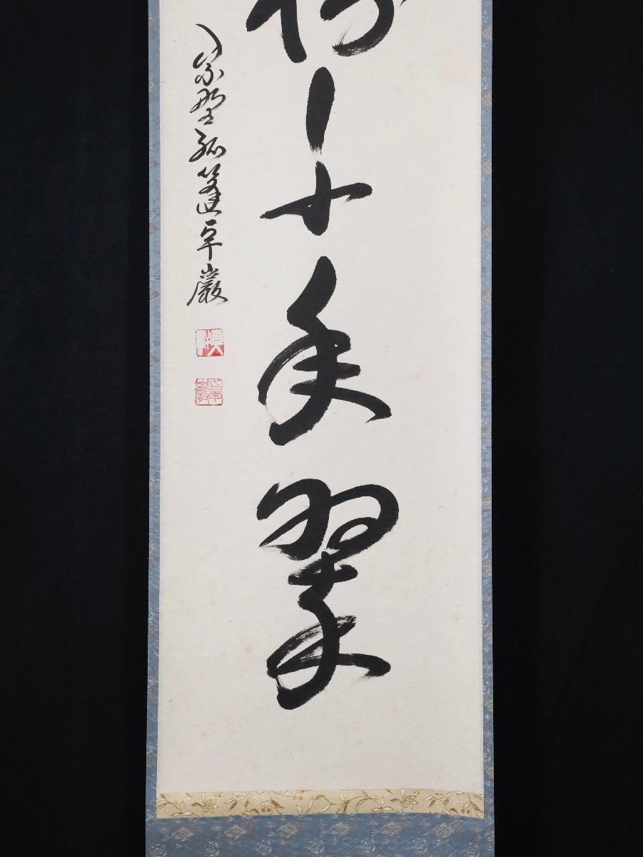 茶道具 掛軸 「松樹千年翠」 卓厳作 セールオファー - yankedesignstc.com