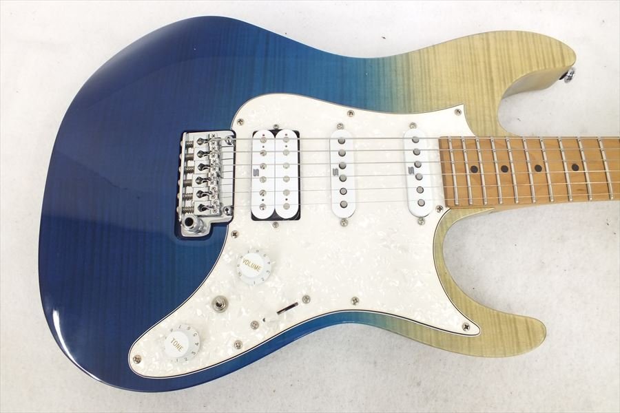 ◇ Ibanez アイバニーズ AZ224F-BIG 1P-01 ギター ソフトケース ◇ Ibanez アイバニーズ AZ224F-BIG 1P-01 ギター ソフトケース