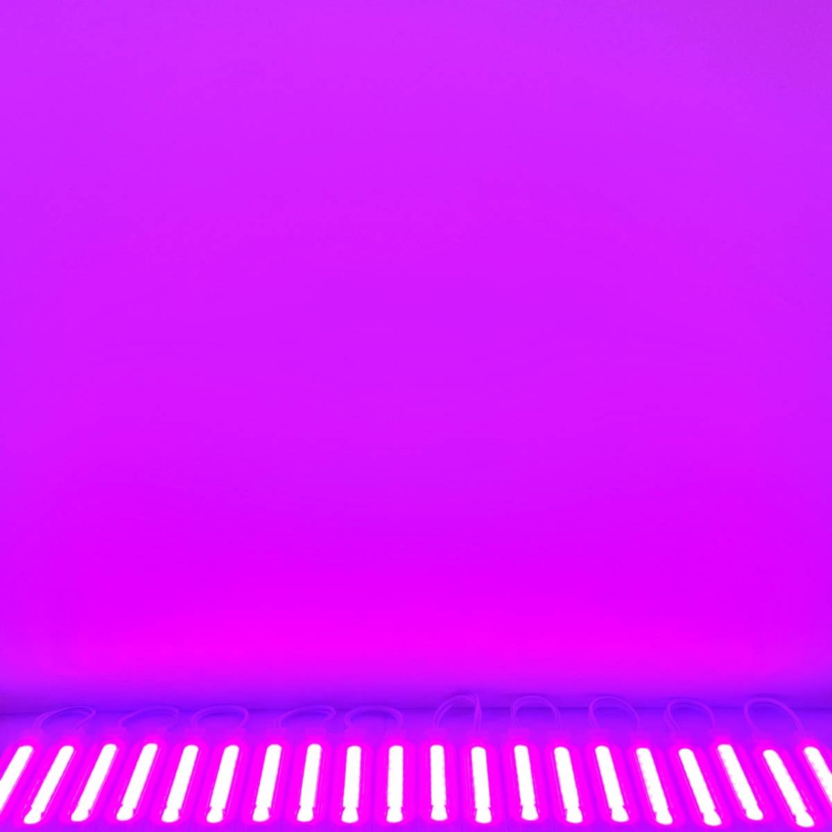 24Vトラック用 LED サイドマーカー 鬼爆発光ダイオード S25 シャーシマーカー 大型スティック形状 チップマーカー 紫・ピンク 40コマの画像5