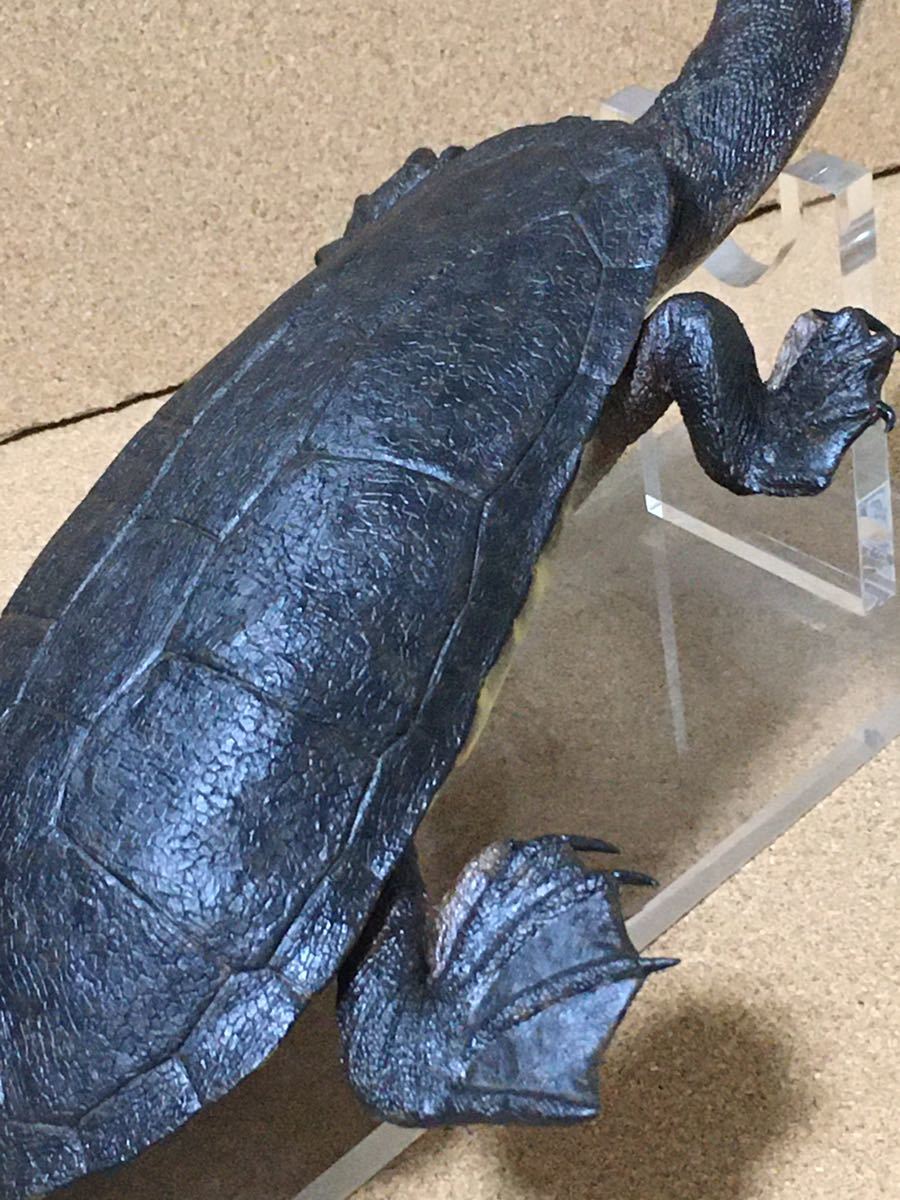 詳細不明 コウホソナガクビガメ フィギュア 検)オブロンガ 海洋 詳細不明 コウホソナガクビガメ フィギュア 検)オブロンガ 海洋