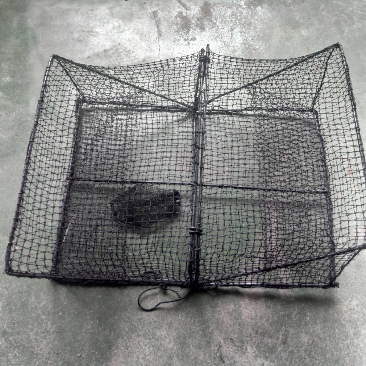 角型タイプ 5枚送料無料(九州沖縄別途追加送料)新品 カニカゴ 蟹かご 蟹カゴ 仕掛け 漁具 穴子仕掛け 蟹仕掛け お魚キラー 魚捕り sanmaao 魚網 折りたたみ カニ エビ 仕掛け 漁具 網カゴ 爆釣 仕掛け網 魚捕り カニカゴ (2個セット)