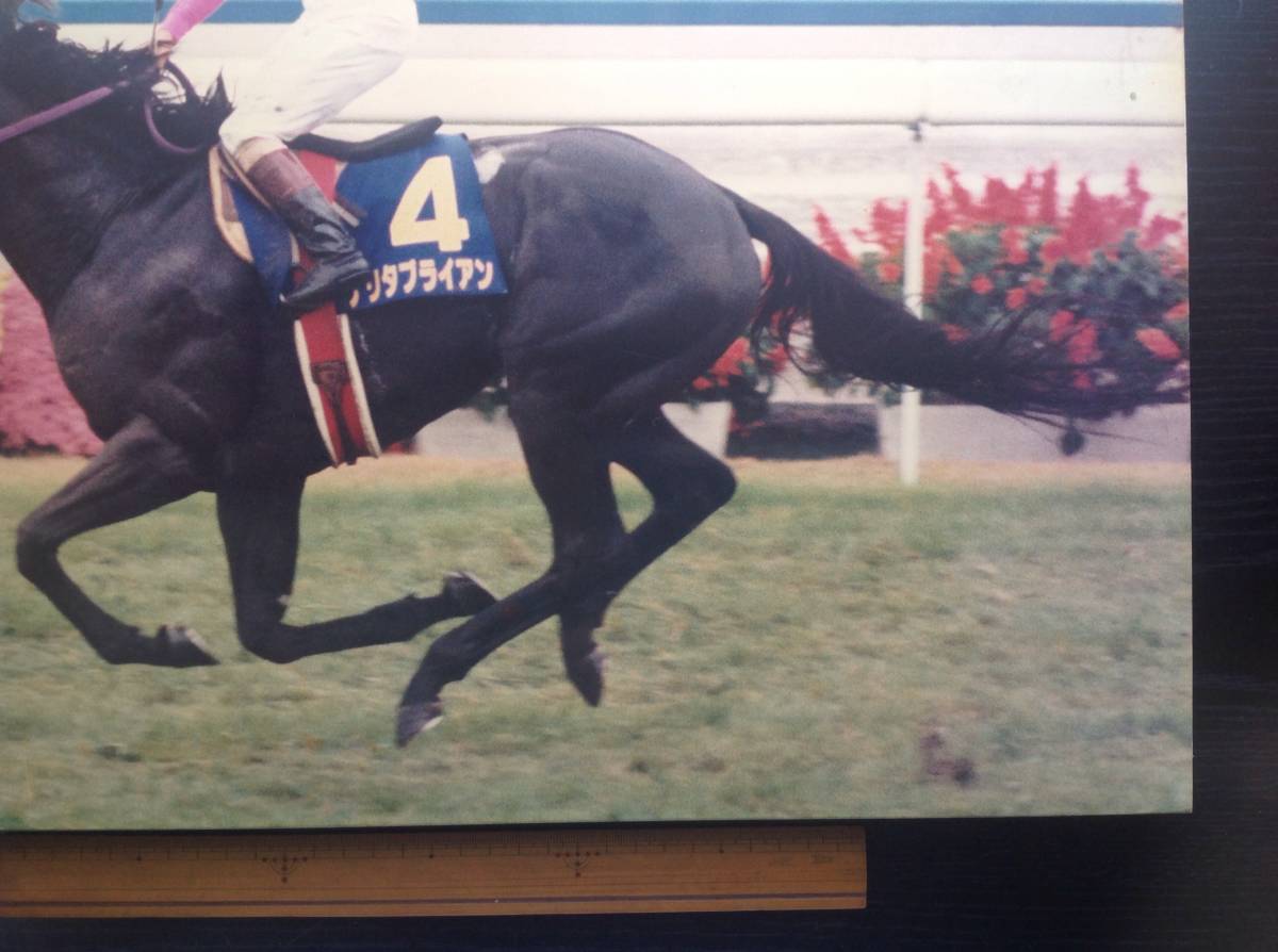 競馬パネル：ナリタブライアン「1994年第55回菊花賞」_画像5