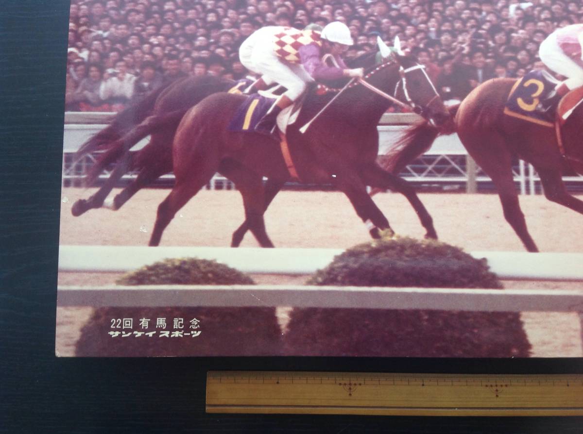 競馬パネル：テンポイント「1977年第22回有馬記念」※内馬場視線_画像4