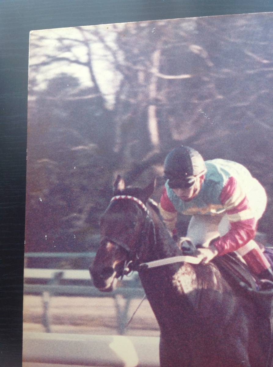 競馬パネル：トウショウボーイ「1976年第21回有馬記念」※２番エリモジョージの画像6