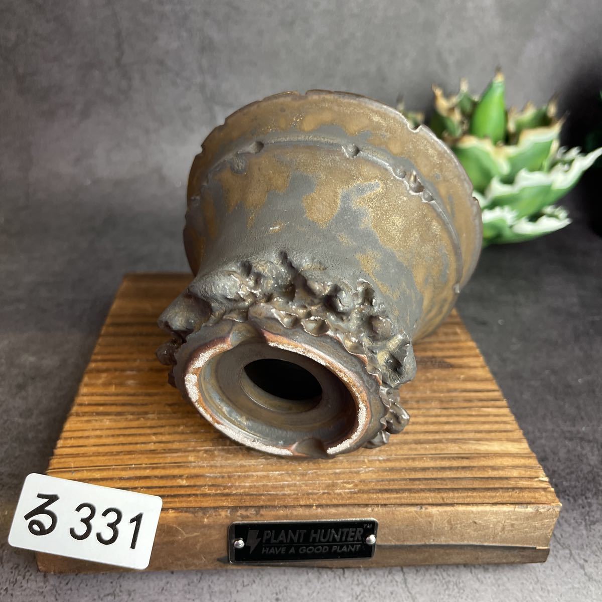 る331 Mサイズ 植木鉢 陶器 検(伝市鉢パキプス invisible ink る331 Mサイズ 植木鉢 陶器 検(伝市鉢パキプス invisible ink