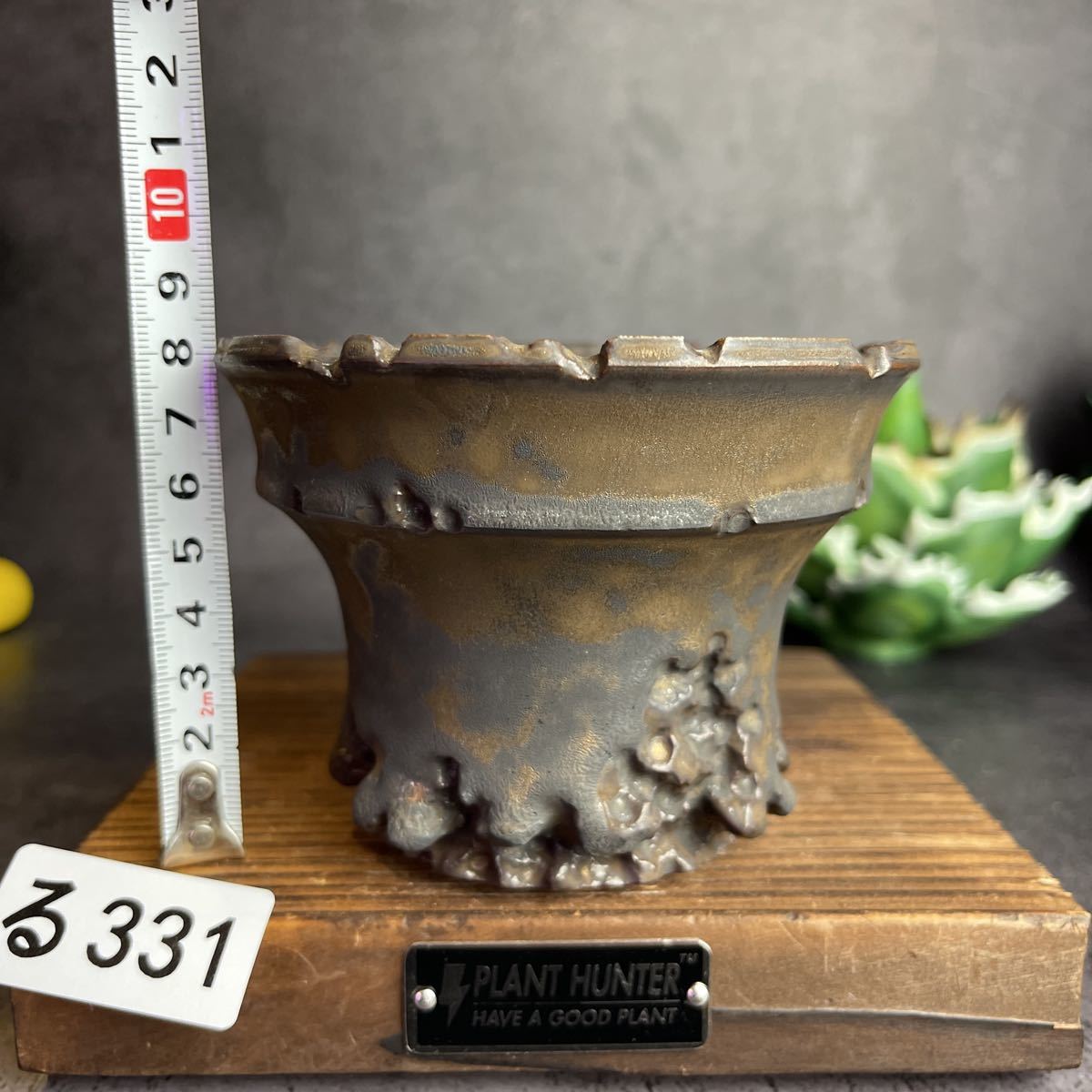 る331 Mサイズ 植木鉢 陶器 検(伝市鉢パキプス invisible ink る331 Mサイズ 植木鉢 陶器 検(伝市鉢パキプス invisible ink