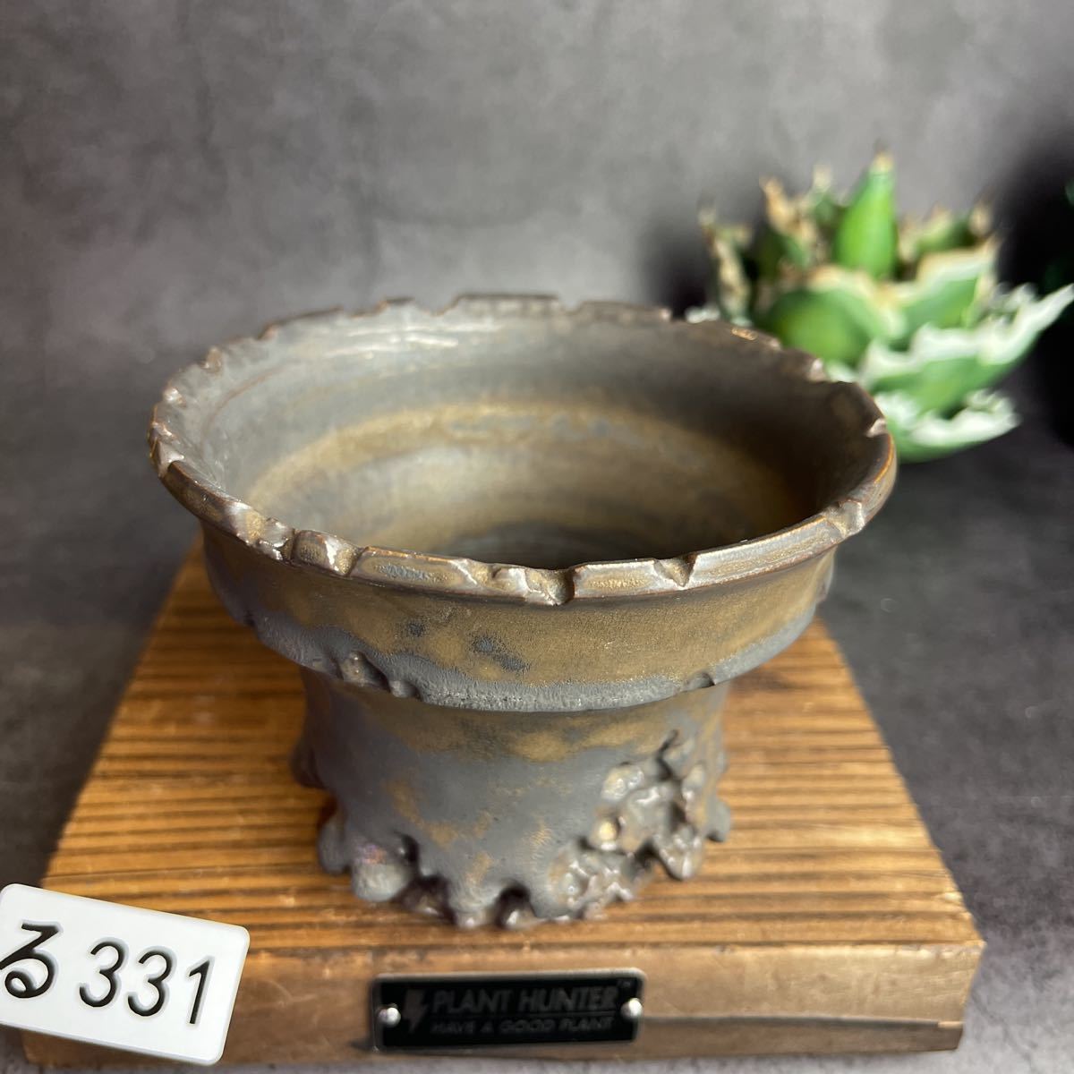 る331 Mサイズ 植木鉢 陶器 検(伝市鉢パキプス invisible ink る331 Mサイズ 植木鉢 陶器 検(伝市鉢パキプス invisible ink