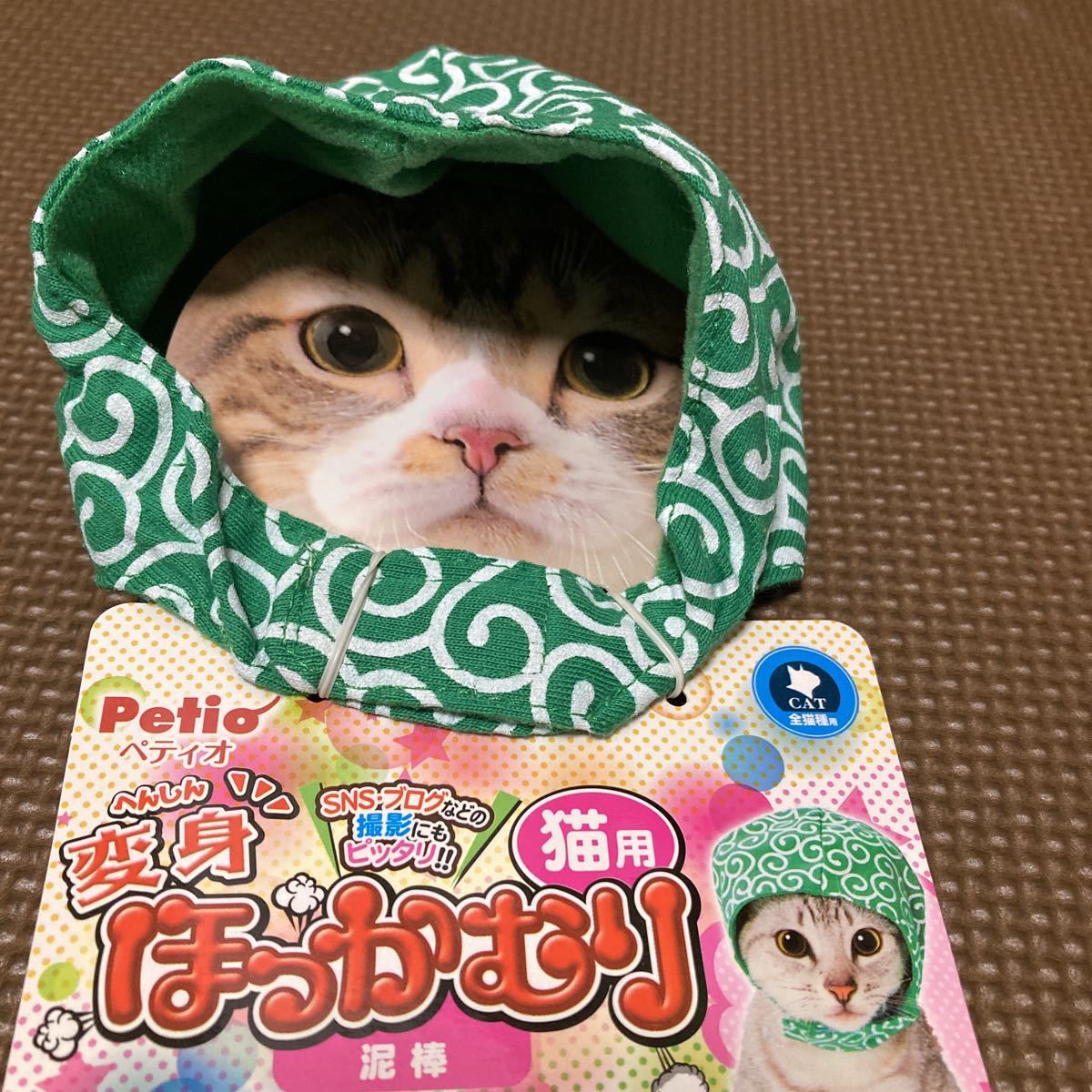 ぺティオ 猫小町 あったかちゃんちゃんこ