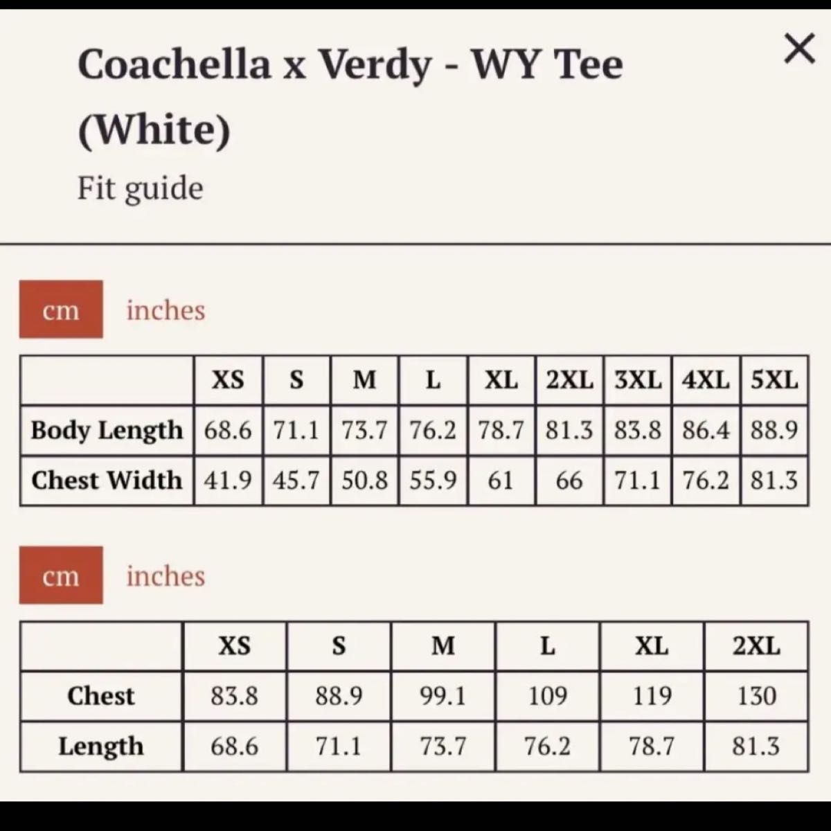 Lサイズ　Coachella Verdy Wasted Youth WY Tee