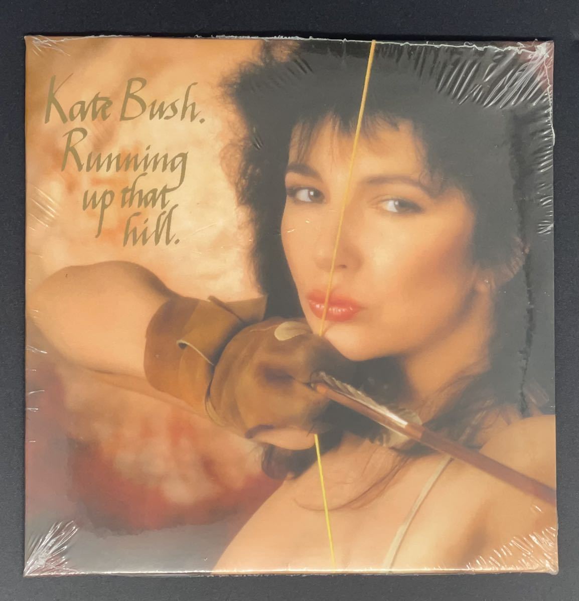 【新品未開封　シングルCD】ケイト・ブッシュ・Kate Bush ◆Running Up That Hill ◆ペーパースリーブ仕様_画像1