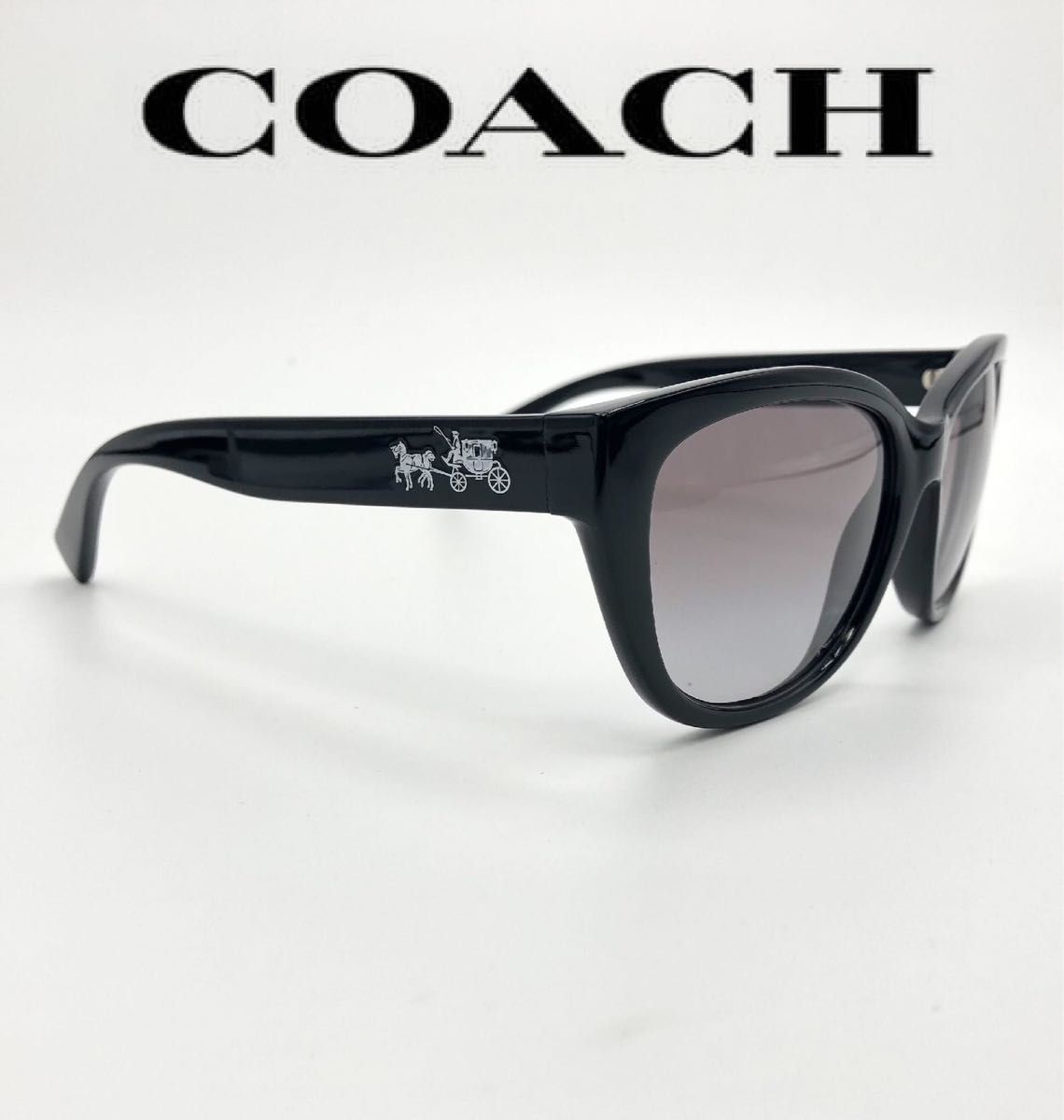 COACH コーチ サングラス HC8163 ブラック系