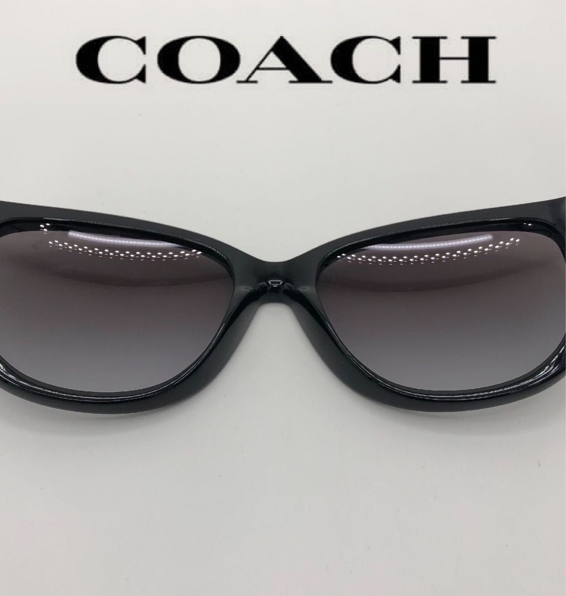 COACH コーチ サングラス HC8163 ブラック系