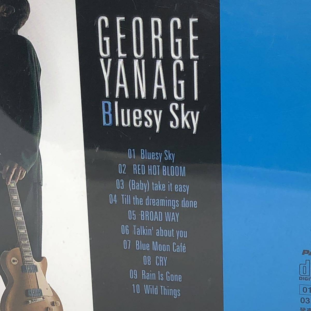 柳ジョージ　『Bluesy Sky』　全10曲　2001年　レア盤　CRCP20261