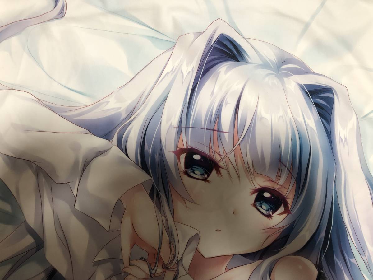 ぱれっと 9 -nine- はるいろはるこいはるのかぜ 香坂春風 抱き枕カバー
